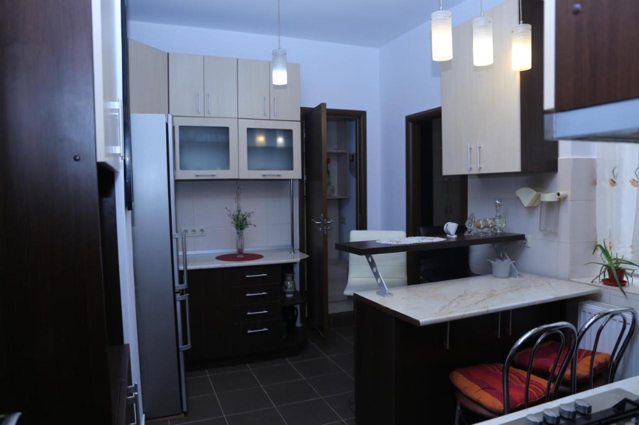 Balcescu Alina'S Apartament Sibiu Eksteriør billede